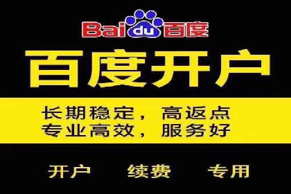 竞价推广开户效果显著案例